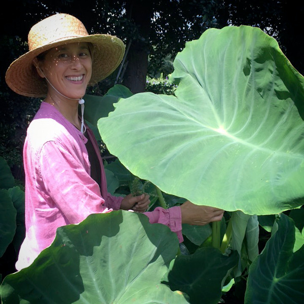 Natural farming
