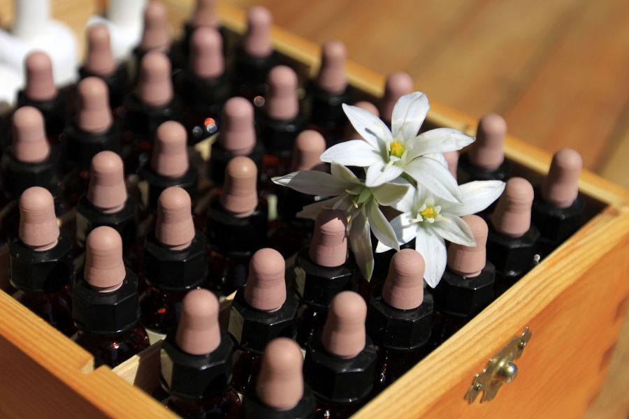 Flower essences